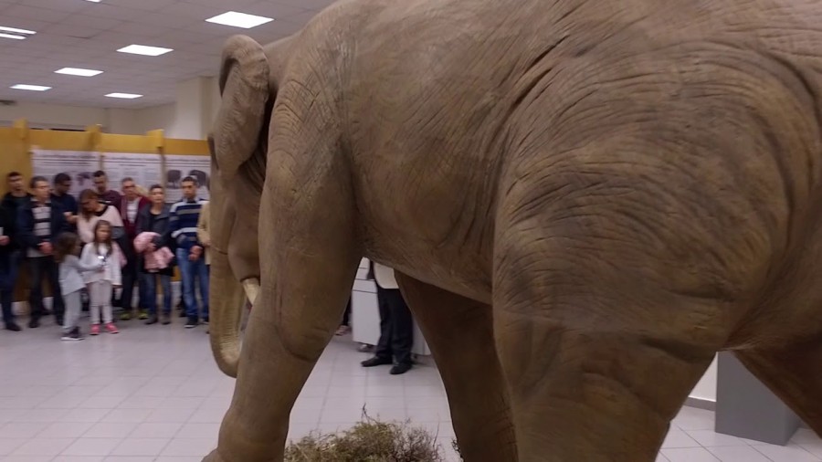 Στις νέες εγκαταστάσεις του Αριστοτέλειου Μουσείου Φυσικής Ιστορίας Θεσσαλονίκης