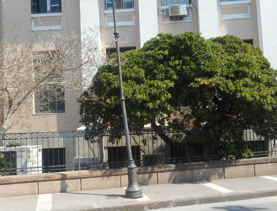 Σε άθλια κατάσταση