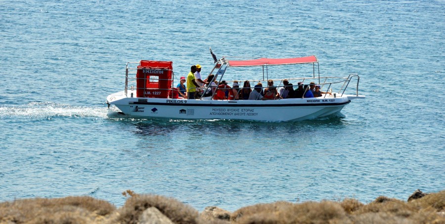 Φοιτητές του Μίσιγκαν στη Λέσβο