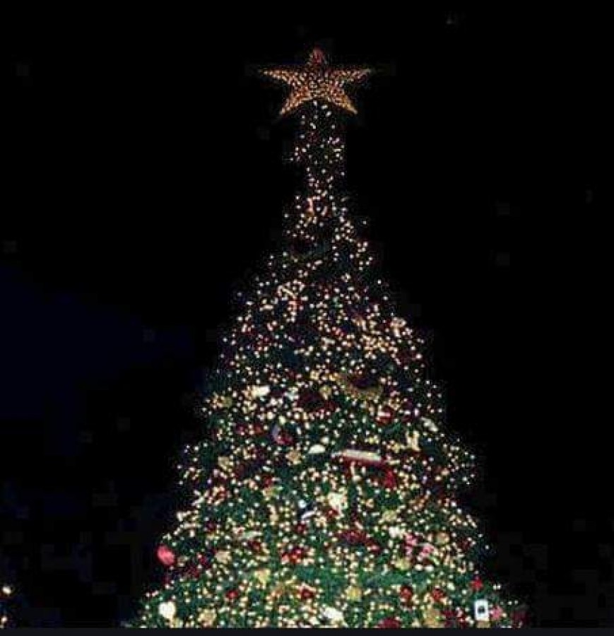 Η φωταγώγηση του Χριστουγεννιάτικου δέντρου της πόλης μας